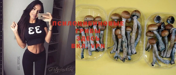 spice Лиски