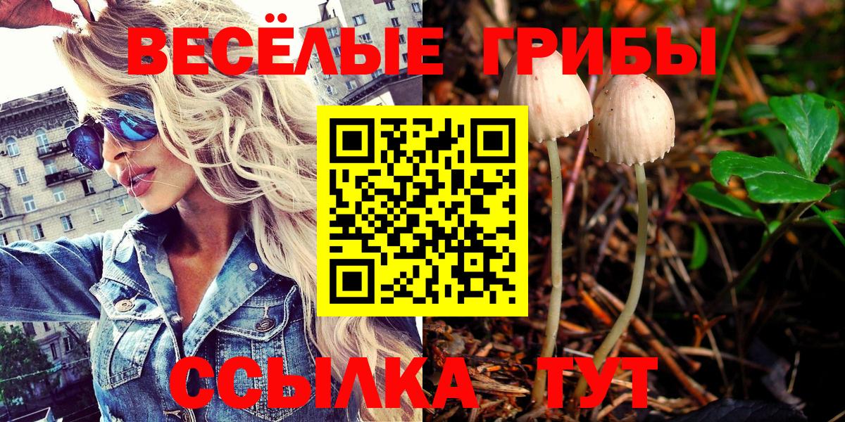 Псилоцибиновые грибы GOLDEN TEACHER  Псилоцибиновые грибы GOLDEN TEACHER  хочу   Вход с VPN  Моршанск 