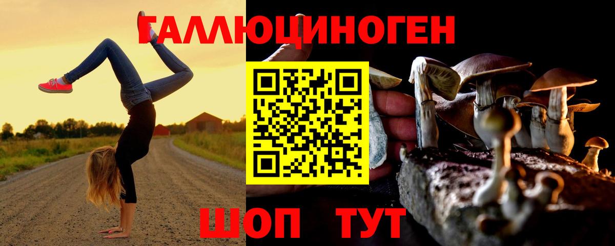 купить  цена  Моршанск  Галлюциногенные грибы мицелий 