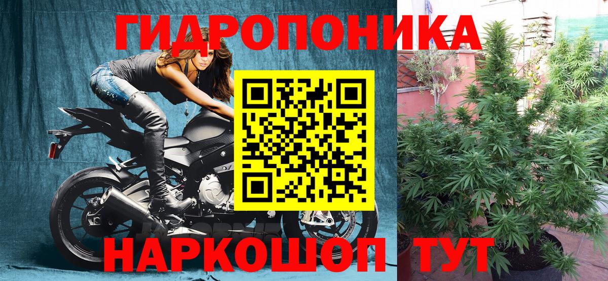 Канабис сатива  Шишки марихуана тримм  Моршанск  Бошки марихуана тримм 